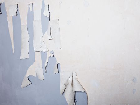 Img 21