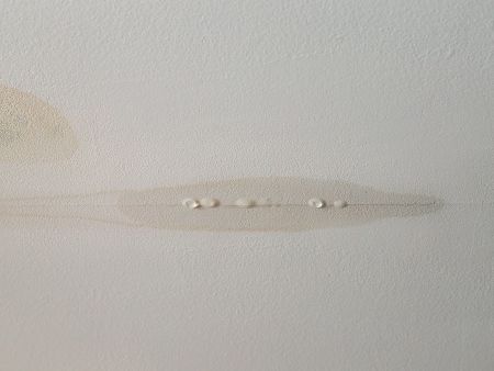 Img 28